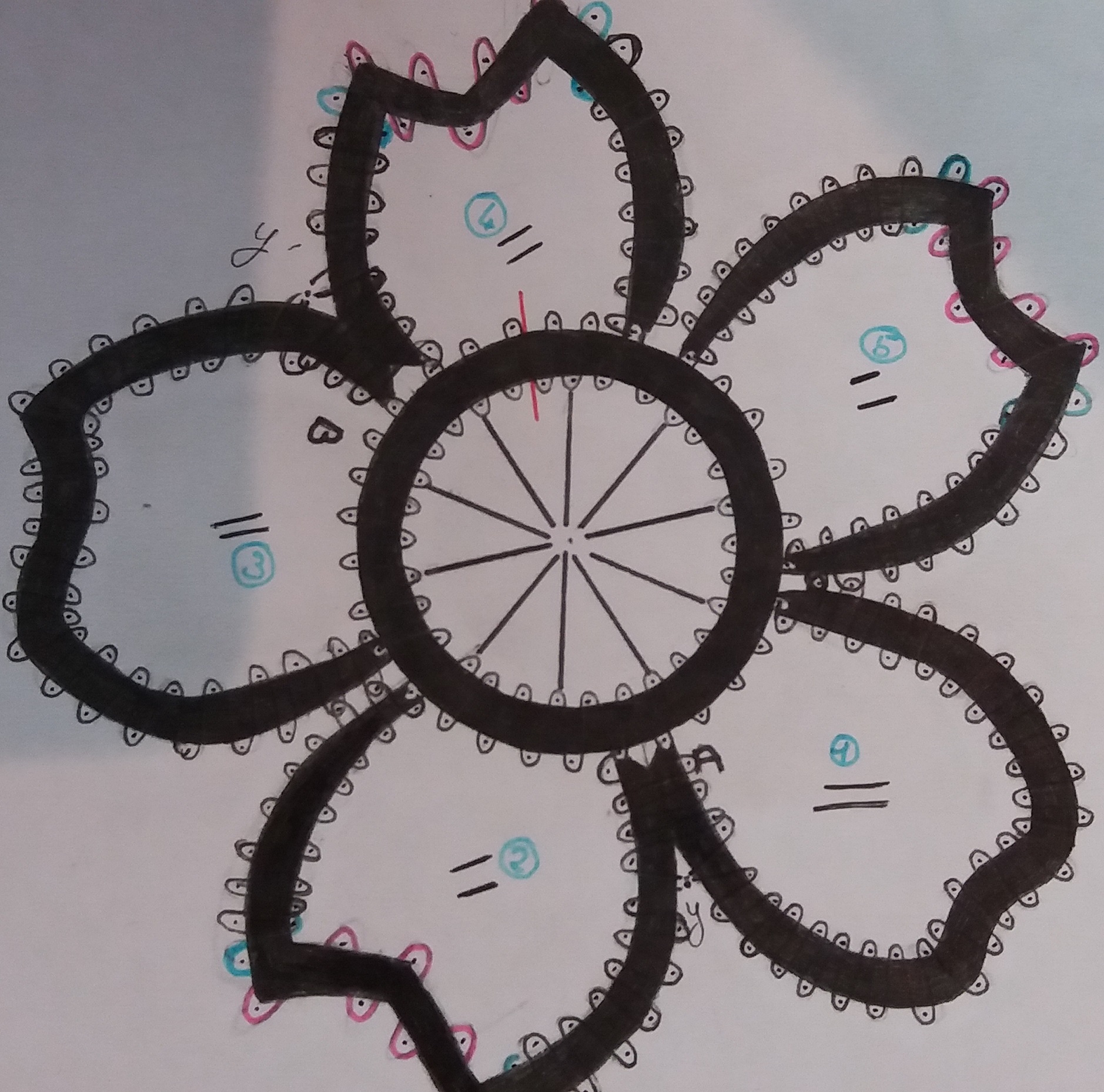 Numérotation des pétales